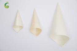 Wooden Cone